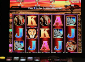 壹号平台app手机版